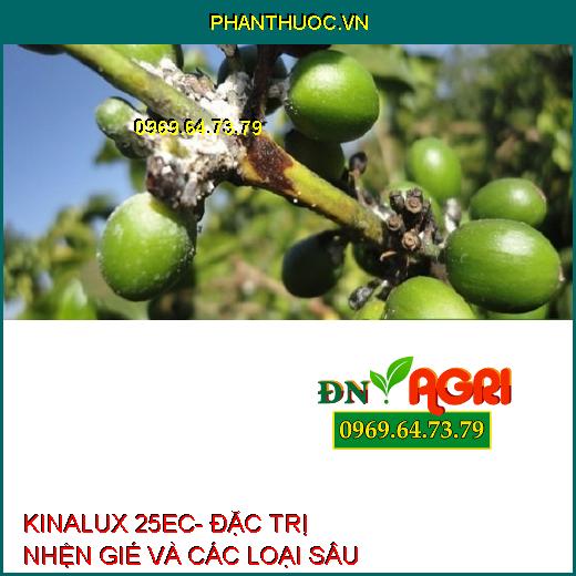 KINALUX 25EC- ĐẶC TRỊ NHỆN GIÉ VÀ CÁC LOẠI SÂU