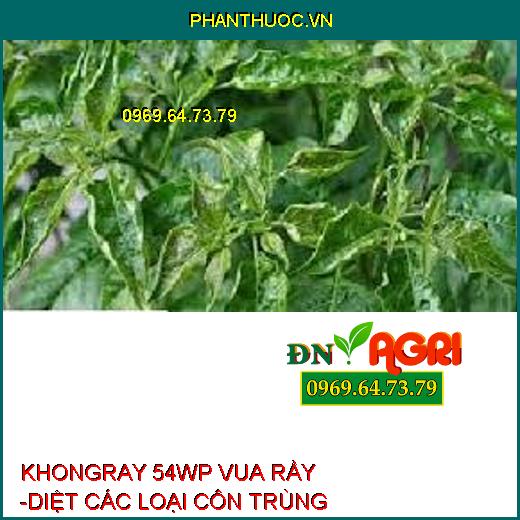 KHONGRAY 54WP VUA RẦY -DIỆT CÁC LOẠI CÔN TRÙNG