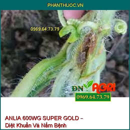 ANLIA 600WG SUPER GOLD – Diệt Khuẩn Và Nấm Bệnh