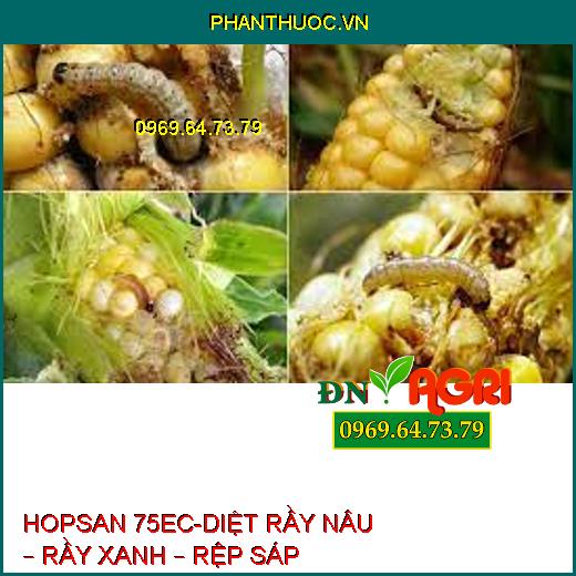 HOPSAN 75EC-DIỆT RẦY NÂU – RẦY XANH – RỆP SÁP