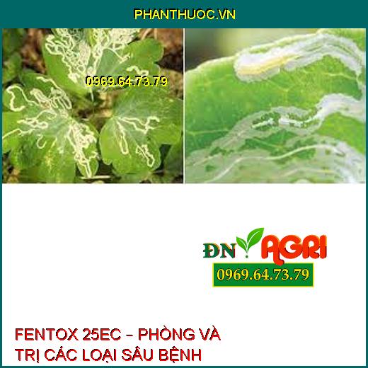 FENTOX 25EC – PHÒNG VÀ TRỊ CÁC LOẠI SÂU BỆNH