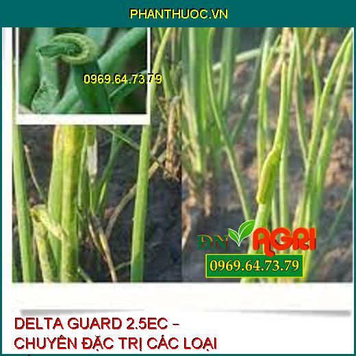 DELTA GUARD 2.5EC – CHUYÊN ĐẶC TRỊ CÁC LOẠI SÂU