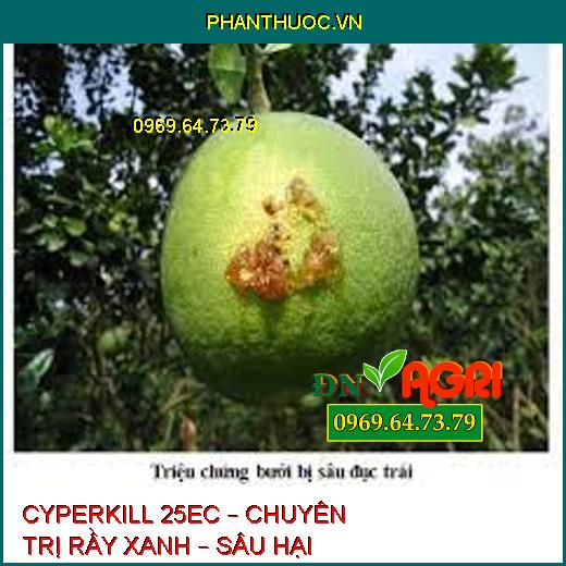 CYPERKILL 25EC – CHUYÊN TRỊ RẦY XANH – SÂU HẠI