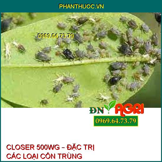 CLOSER 500WG – ĐẶC TRỊ CÁC LOẠI CÔN TRÙNG