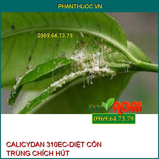 CALICYDAN 310EC-DIỆT CÔN TRÙNG CHÍCH HÚT