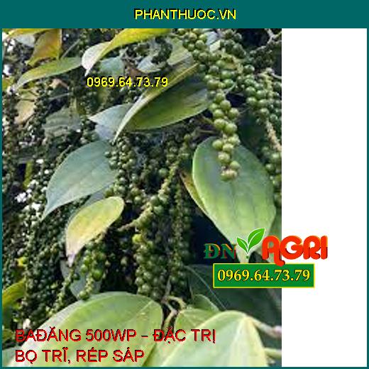 BAĐĂNG 500WP – ĐẶC TRỊ BỌ TRĨ, RẾP SÁP