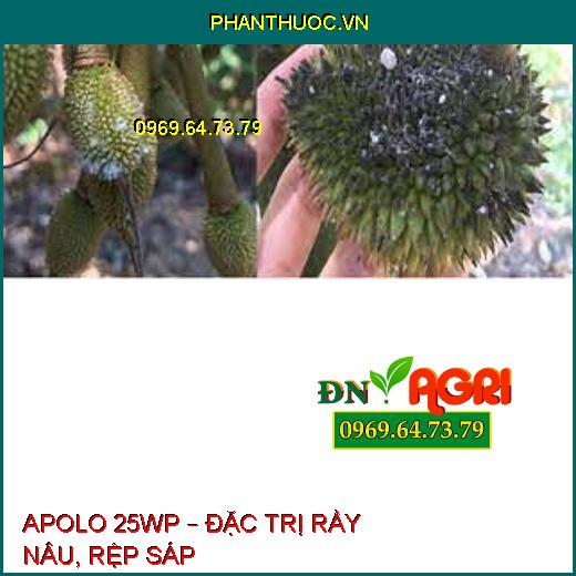 APOLO 25WP – ĐẶC TRỊ RẦY NÂU, RỆP SÁP