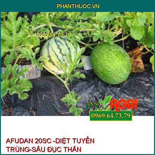 AFUDAN 20SC -DIỆT TUYẾN TRÙNG-SÂU ĐỤC THÂN