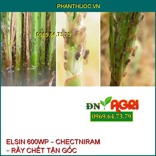 ELSIN 600WP – CHECTNIRAM – RẦY CHẾT TẬN GỐC