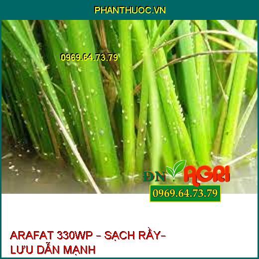 ARAFAT 330WP – SẠCH RẦY– LƯU DẪN MẠNH