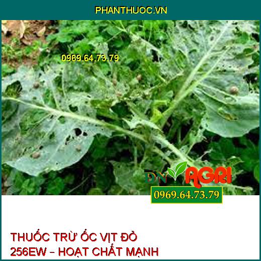 THUỐC TRỪ ỐC VỊT ĐỎ 256EW – HOẠT CHẤT MẠNH