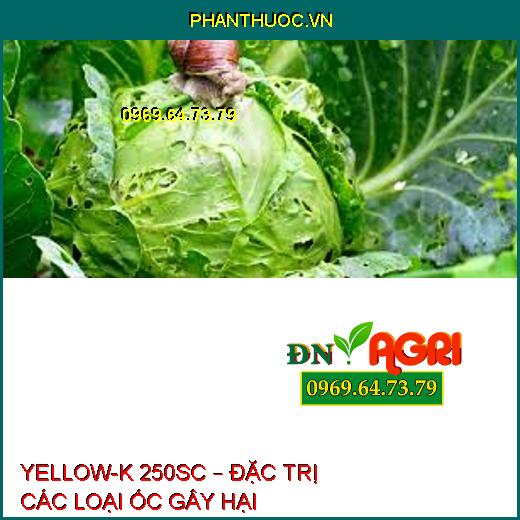 YELLOW-K 250SC – ĐẶC TRỊ CÁC LOẠI ỐC GÂY HẠI