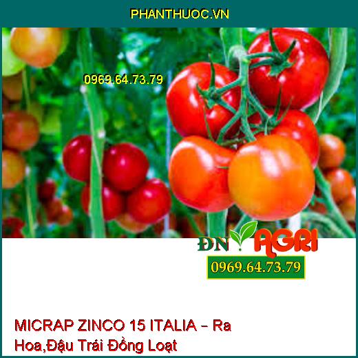 MICRAP ZINCO 15 ITALIA – Ra Hoa,Đậu Trái Đồng Loạt