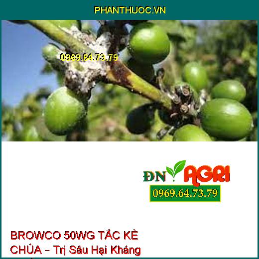 BROWCO 50WG TẮC KÈ CHÚA – Trị Sâu Hại Kháng Thuốc