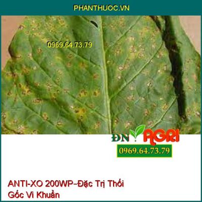 ANTI-XO 200WP–Đặc Trị Thối Gốc Vi Khuẩn