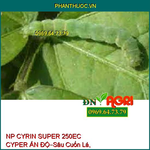 NP CYRIN SUPER 250EC CYPER ẤN ĐỘ–Sâu Cuốn Lá, Sâu Xa