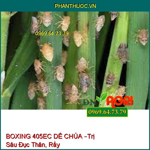 BOXING 405EC DÊ CHÚA –Trị Sâu Đục Thân, Rầy