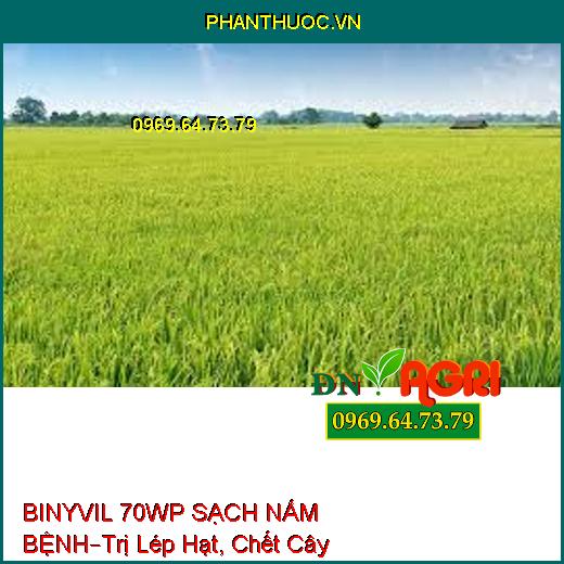 BINYVIL 70WP SẠCH NẤM BỆNH–Trị Lép Hạt, Chết Cây Con, Xì Mủ