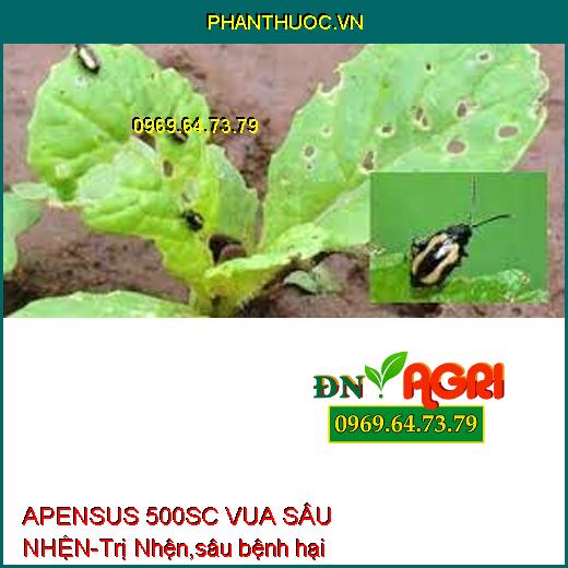 APENSUS 500SC VUA SÂU NHỆN-Trị Nhện,sâu bệnh hại