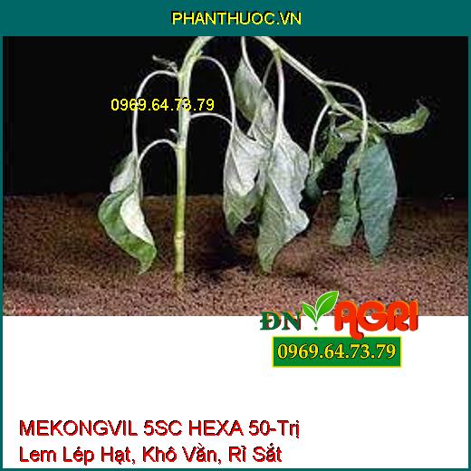 MEKONGVIL 5SC HEXA 50-Trị Lem Lép Hạt, Khô Vằn, Rỉ Sắt