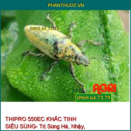 THIPRO 550EC KHẮC TINH SIÊU SÙNG- Trị Sùng Hà, Nhậy, Sâu