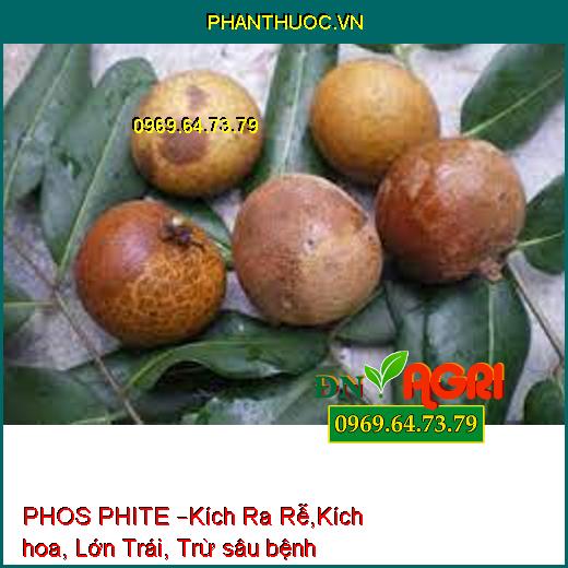 PHOS PHITE –Kích Ra Rễ,Kích hoa, Lớn Trái, Trừ sâu bệnh