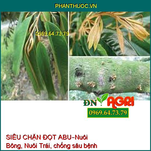 SIÊU CHẶN ĐỌT ABU–Nuôi Bông, Nuôi Trái, chống sâu bệnh