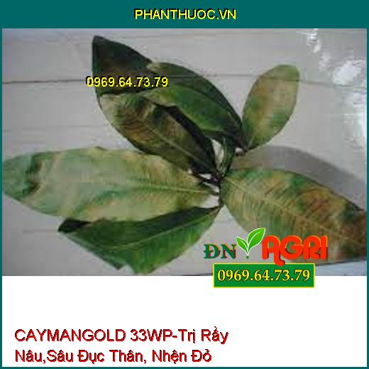 CAYMANGOLD 33WP-Trị Rầy Nâu,Sâu Đục Thân, Nhện Đỏ