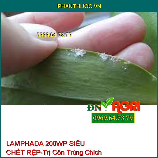 LAMPHADA 200WP SIÊU CHẾT RỆP-Trị Côn Trùng Chích Hút