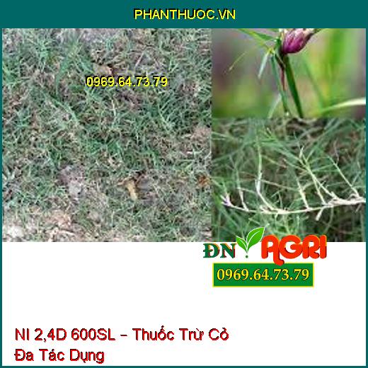 NI 2,4D 600SL – Thuốc Trừ Cỏ Đa Tác Dụng