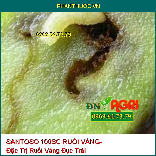 SANTOSO 100SC RUỒI VÀNG- Đặc Trị Ruồi Vàng Đục Trái