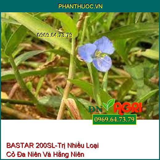 BASTAR 200SL-Trị Nhiều Loại Cỏ Đa Niên Và Hằng Niên