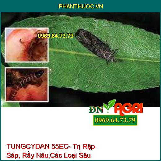 TUNGCYDAN 55EC- Trị Rệp Sáp, Rầy Nâu,Các Loại Sâu