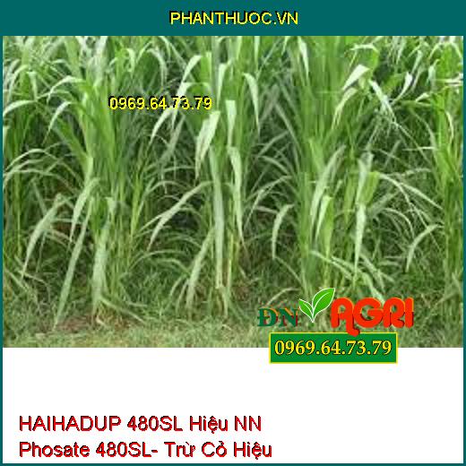 HAIHADUP 480SL Hiệu NN Phosate 480SL- Trừ Cỏ Hiệu Qủa