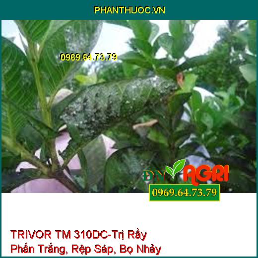 TRIVOR TM 310DC-Trị Rầy Phấn Trắng, Rệp Sáp, Bọ Nhảy