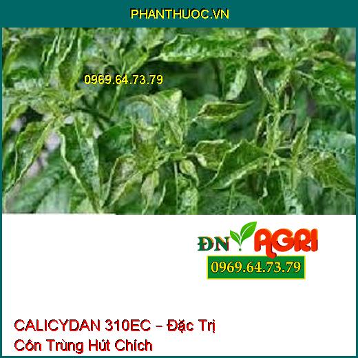 CALICYDAN 310EC – Đặc Trị Côn Trùng Hút Chích