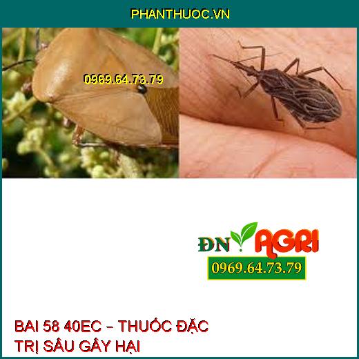 BAI 58 40EC – THUỐC ĐẶC TRỊ SÂU GÂY HẠI