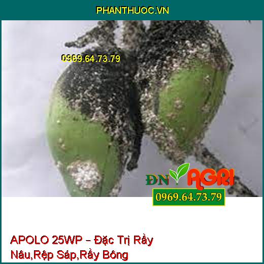 APOLO 25WP – Đặc Trị Rầy Nâu,Rệp Sáp,Rầy Bông