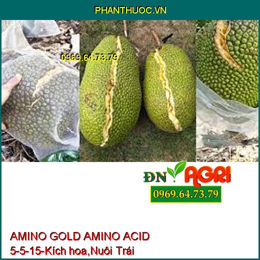 AMINO GOLD AMINO ACID 5-5-15-Kích hoa,Nuôi Trái