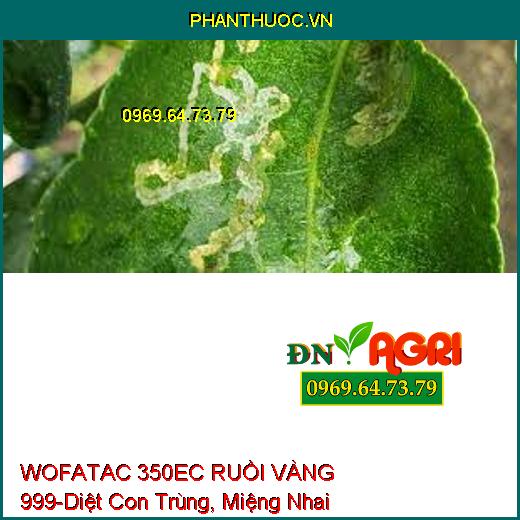 WOFATAC 350EC RUỒI VÀNG 999-Diệt Con Trùng, Miệng Nhai