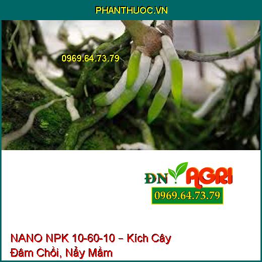 NANO NPK 10-60-10 – Kích Cây Đâm Chồi, Nẩy Mầm