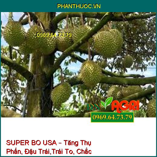 SUPER BO USA – Tăng Thụ Phấn, Đậu Trái,Trái To, Chắc Hạt