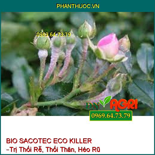 BIO SACOTEC ECO KILLER –Trị Thối Rễ, Thối Thân, Héo Rũ