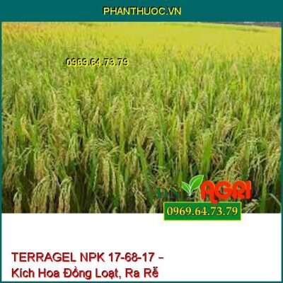 TERRAGEL NPK 17-68-17 – Kích Hoa Đồng Loạt, Ra Rễ