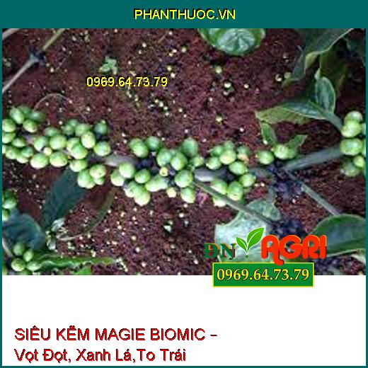 SIÊU KẼM MAGIE BIOMIC – Vọt Đọt, Xanh Lá,To Trái