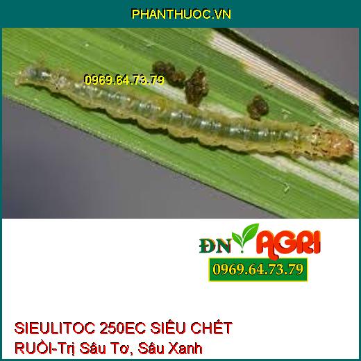 SIEULITOC 250EC SIÊU CHẾT RUỒI-Trị Sâu Tơ, Sâu Xanh