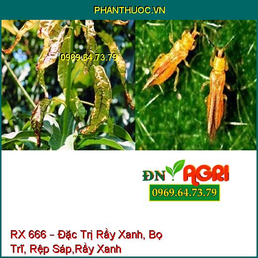 RX 666 – Đặc Trị Rầy Xanh, Bọ Trĩ, Rệp Sáp,Rầy Xanh