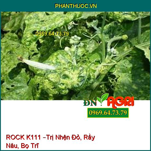 ROCK K111 –Trị Nhện Đỏ, Rầy Nâu, Bọ Trĩ