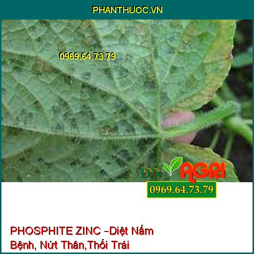 PHOSPHITE ZINC –Diệt Nấm Bệnh, Nứt Thân,Thối Trái