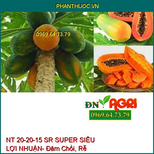 NT 20-20-15 SR SUPER SIÊU LỢI NHUẬN- Đâm Chồi, Rễ